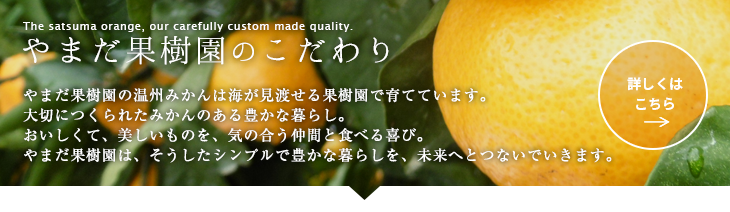 やまだ果樹園のこだわり　やまだ果樹園のみかんは佐賀県太良町、海が見渡せる果樹園で育てています。当果樹園で採れたデコポンで作った100％のデコポンジュースと一緒に通販でお取り寄せ下さい